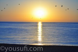 the beach photography
