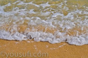 the beach photography